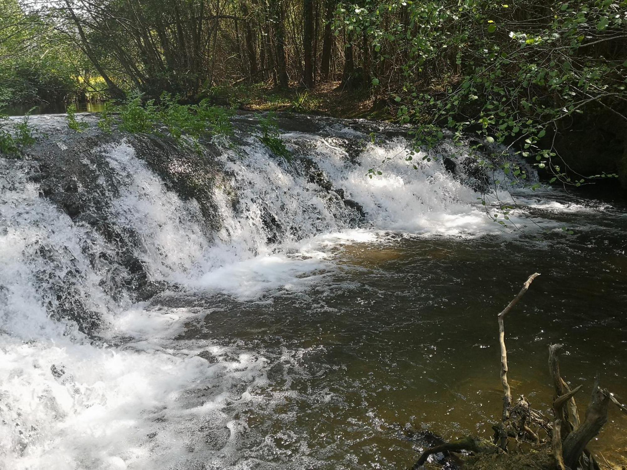 Quinta Das Aguias アヴェイロ エクステリア 写真