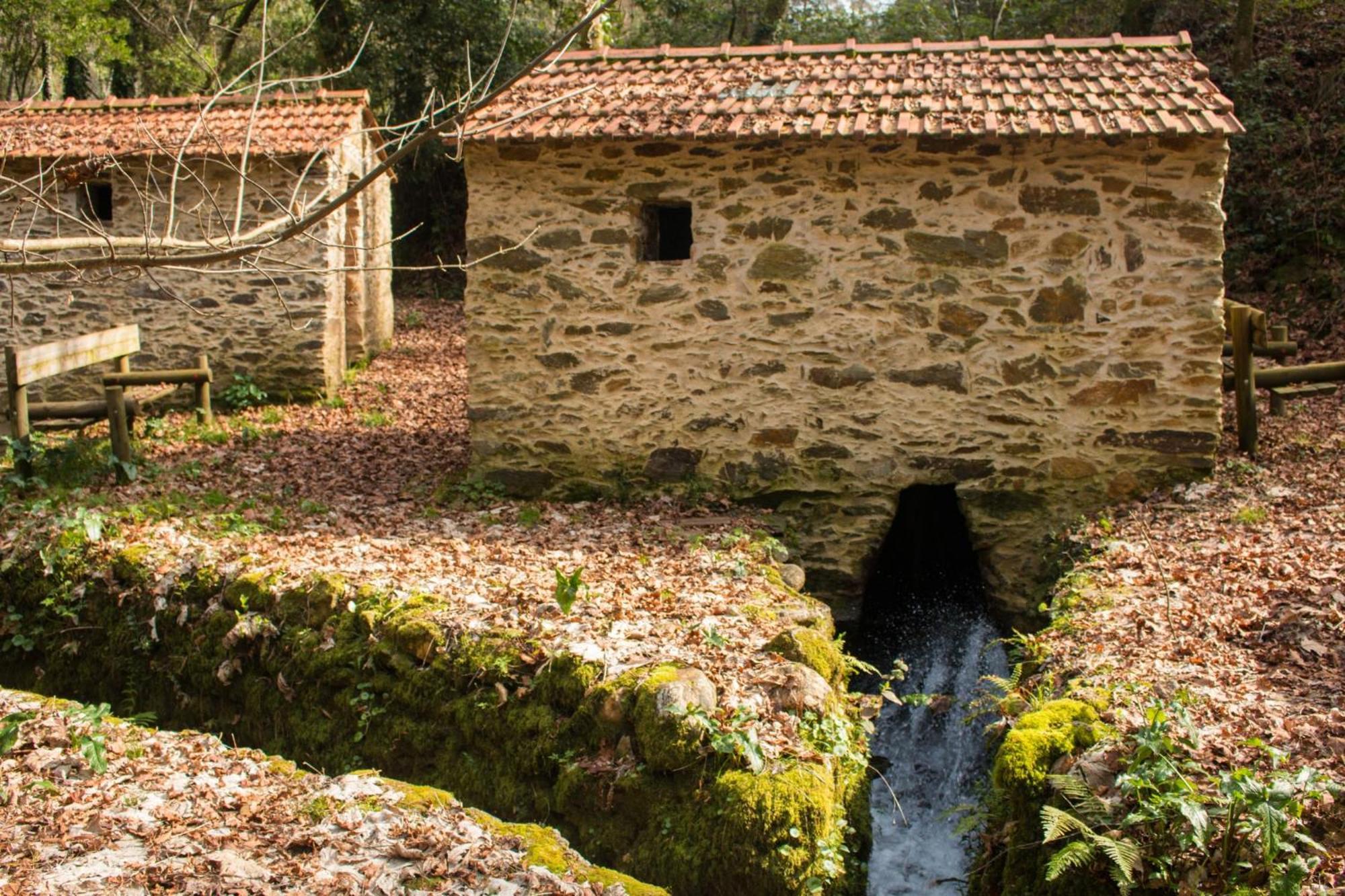 Quinta Das Aguias アヴェイロ エクステリア 写真