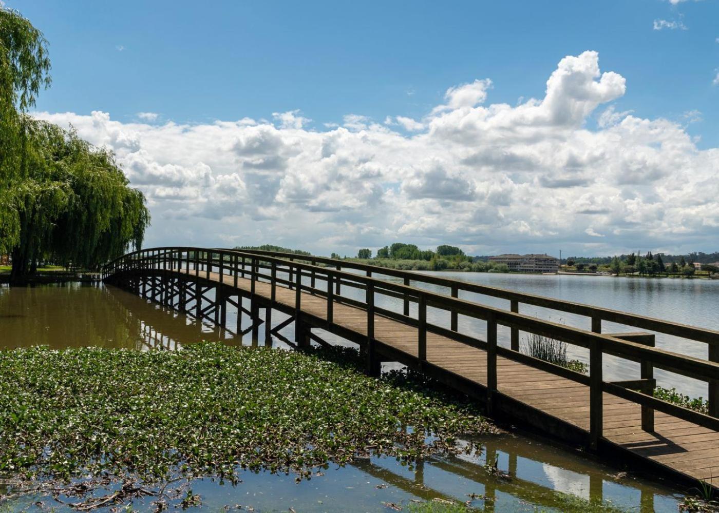 Quinta Das Aguias アヴェイロ エクステリア 写真