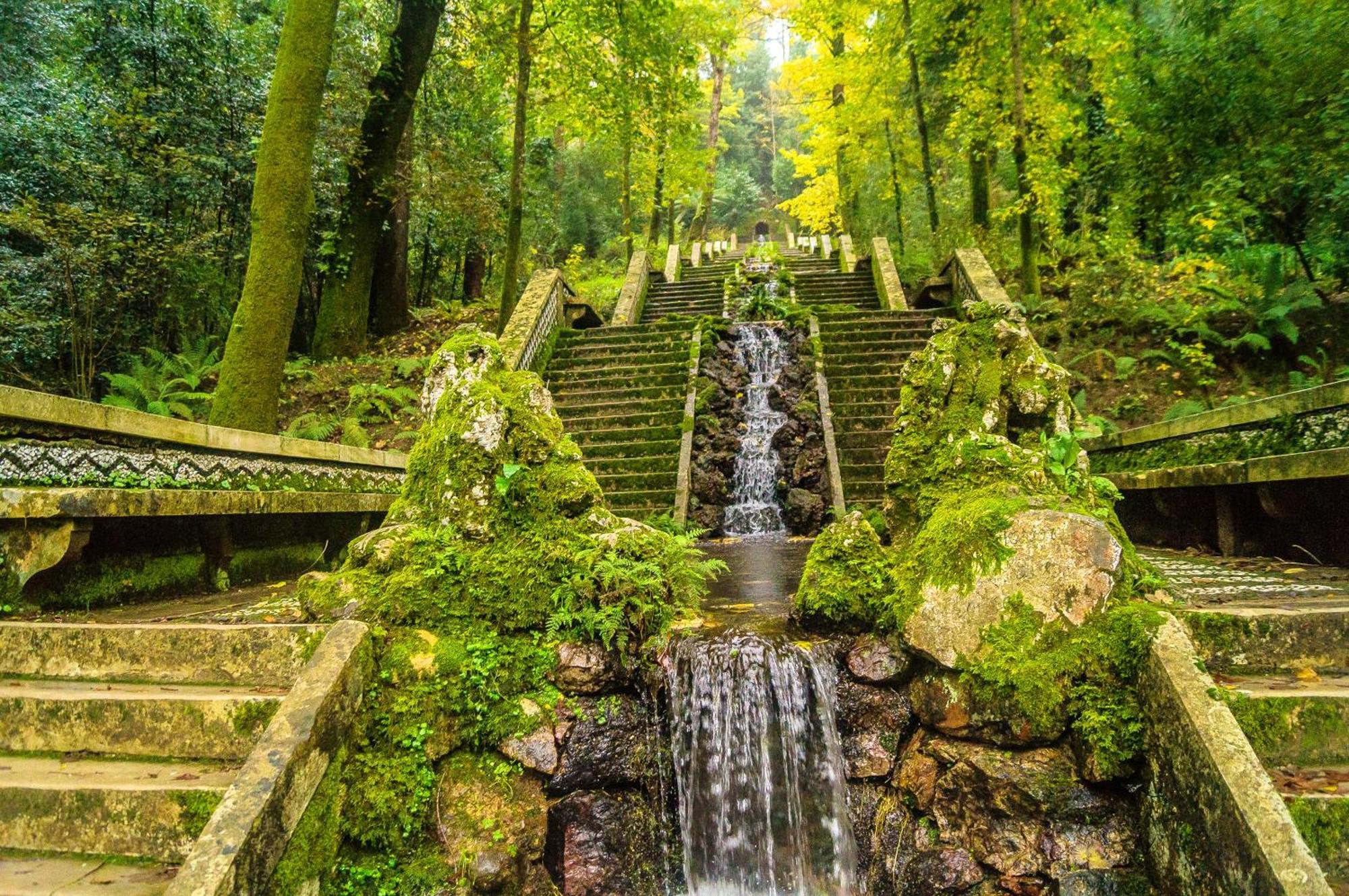 Quinta Das Aguias アヴェイロ エクステリア 写真