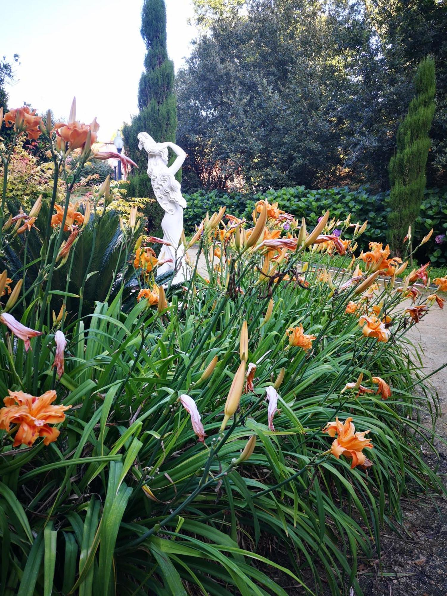 Quinta Das Aguias アヴェイロ エクステリア 写真