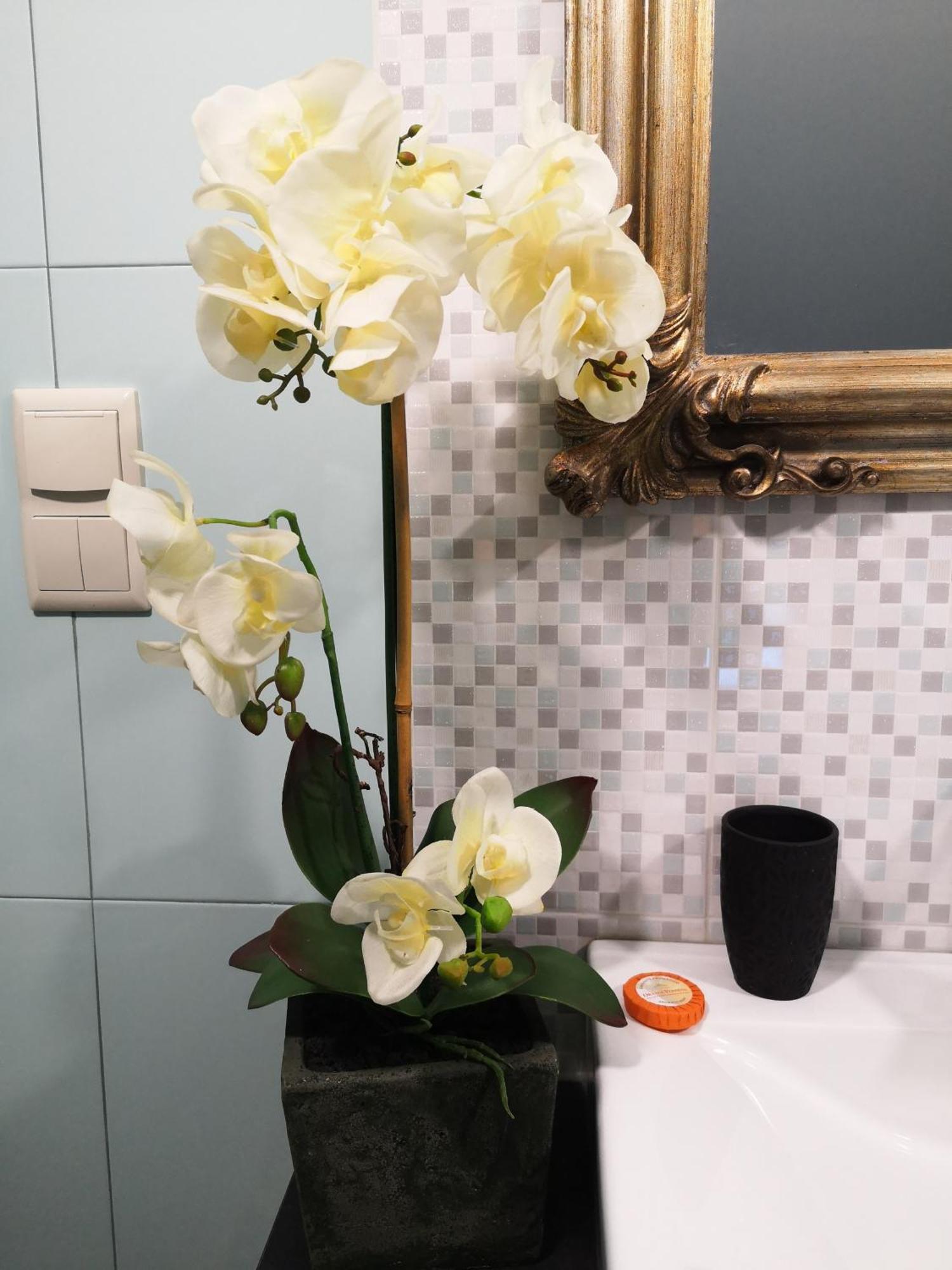 Quinta Das Aguias アヴェイロ エクステリア 写真