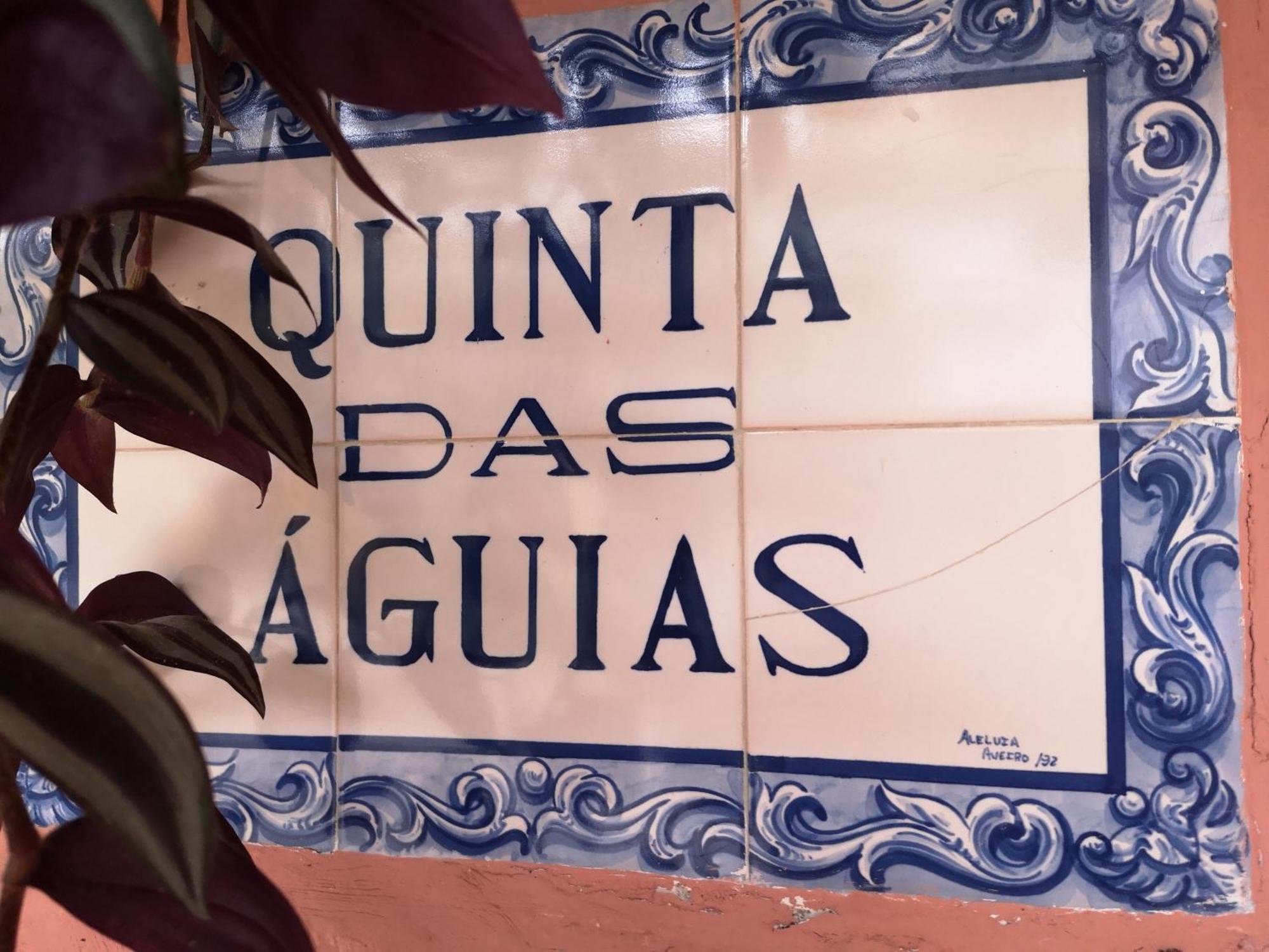 Quinta Das Aguias アヴェイロ エクステリア 写真