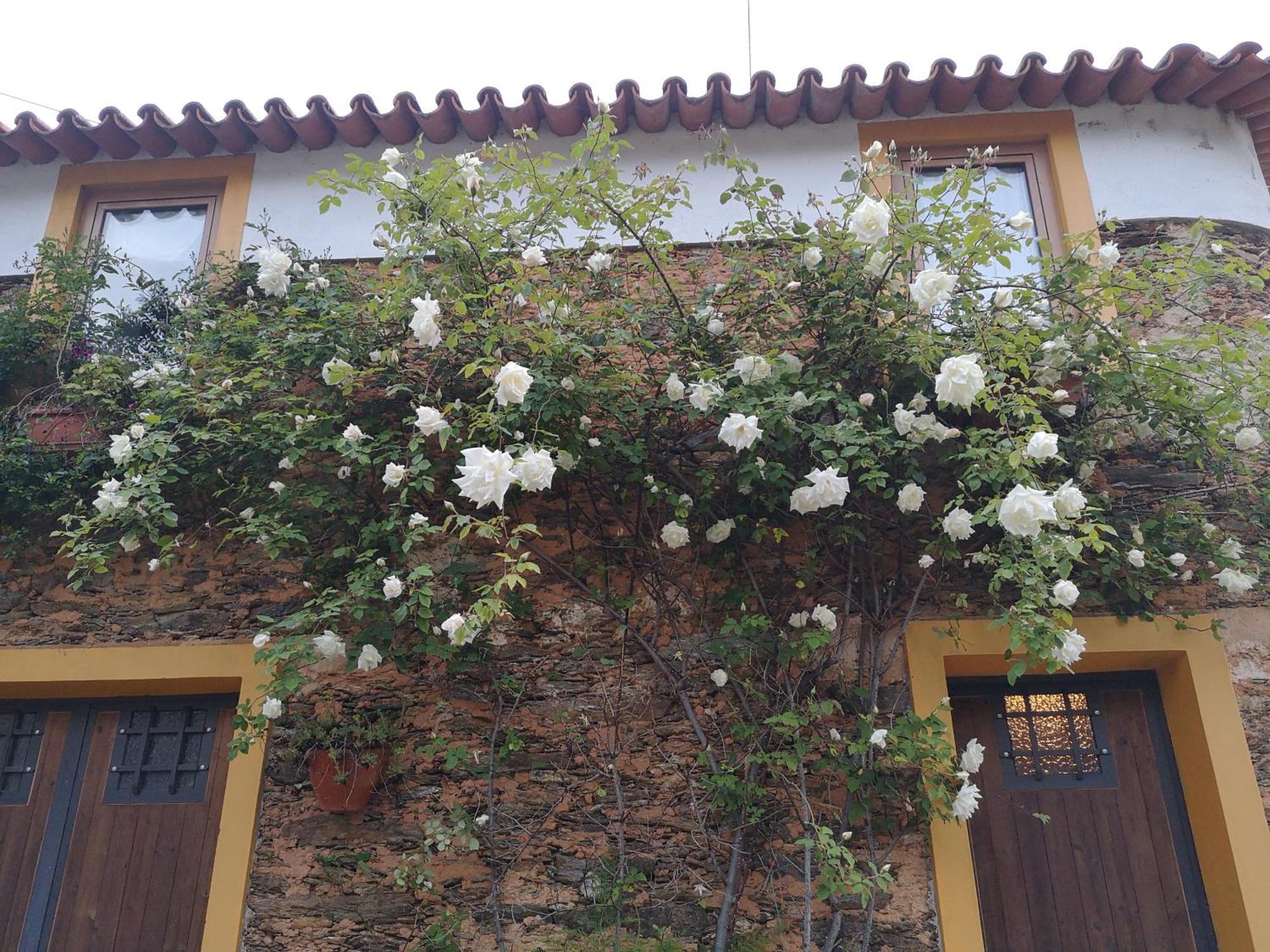 Quinta Das Aguias アヴェイロ エクステリア 写真