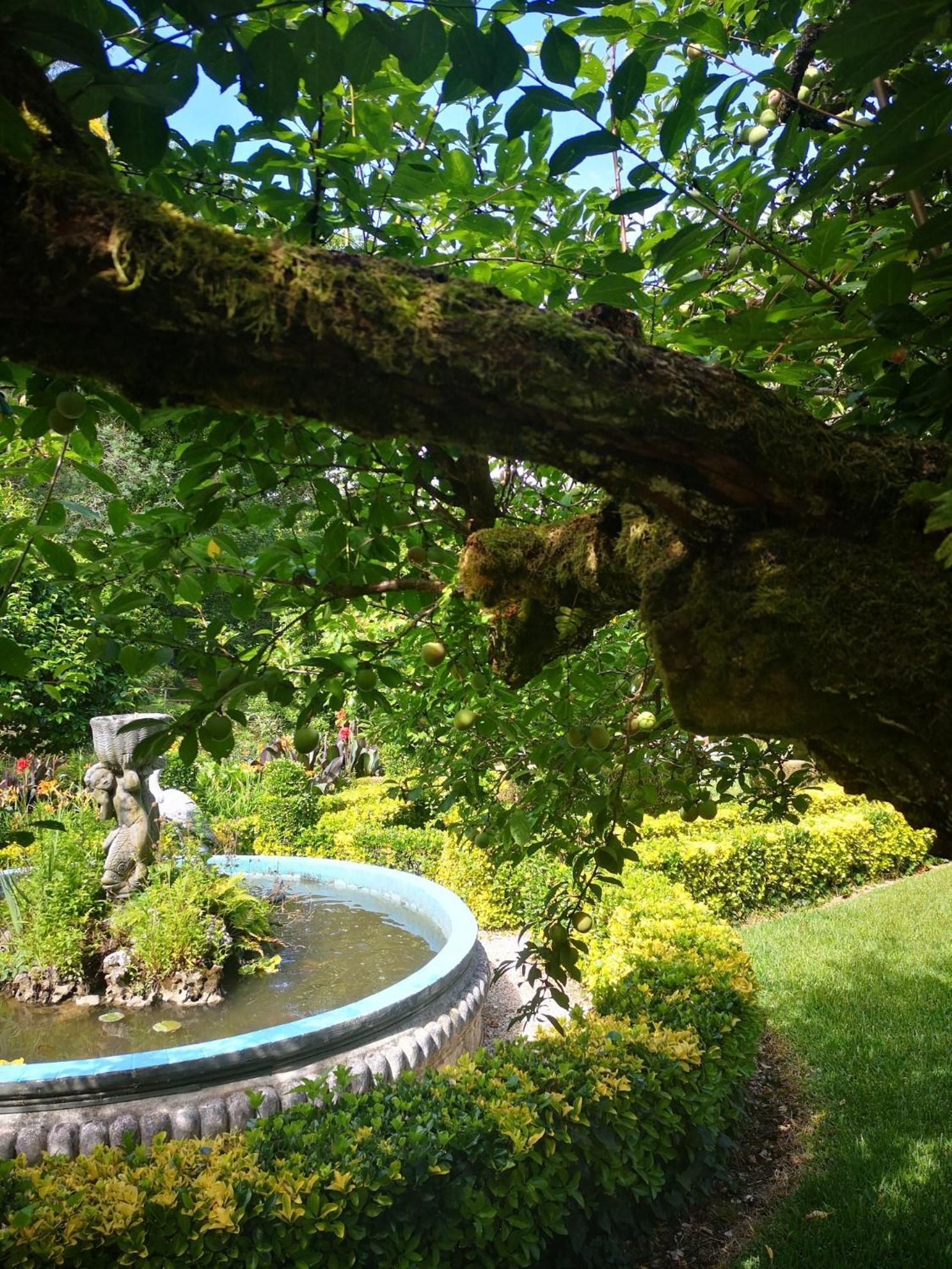 Quinta Das Aguias アヴェイロ エクステリア 写真
