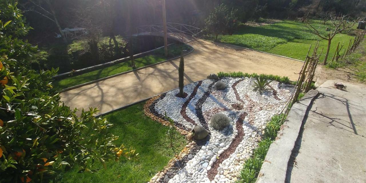 Quinta Das Aguias アヴェイロ エクステリア 写真